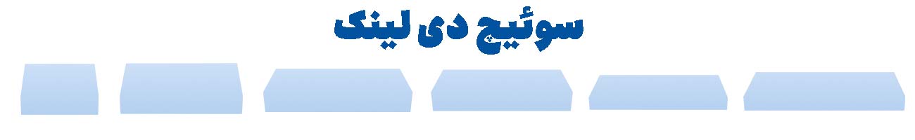 سوئیچ-دی-لینک